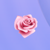 Роза 1.png