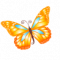 Butterfly-orange-icon.png